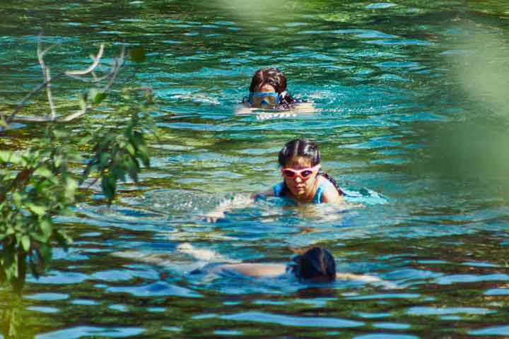 Senderos entre la selva